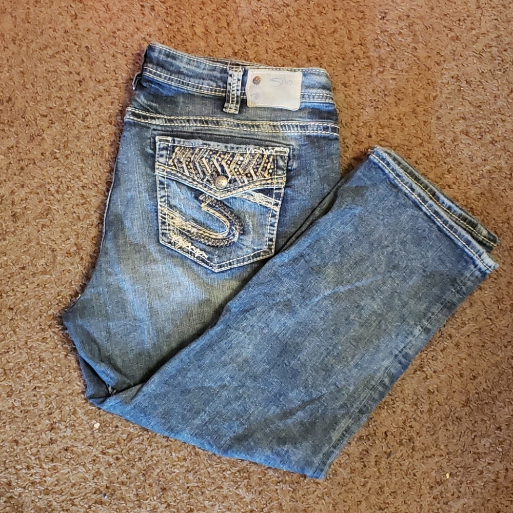 Womens Plus Size Silver Suki Mid Capri